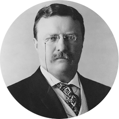 inaugural ceremonies landing_theodore roosevelt